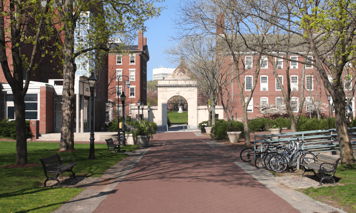 Shifting SAT/ACT Requirements: Expert Insights and Tips for