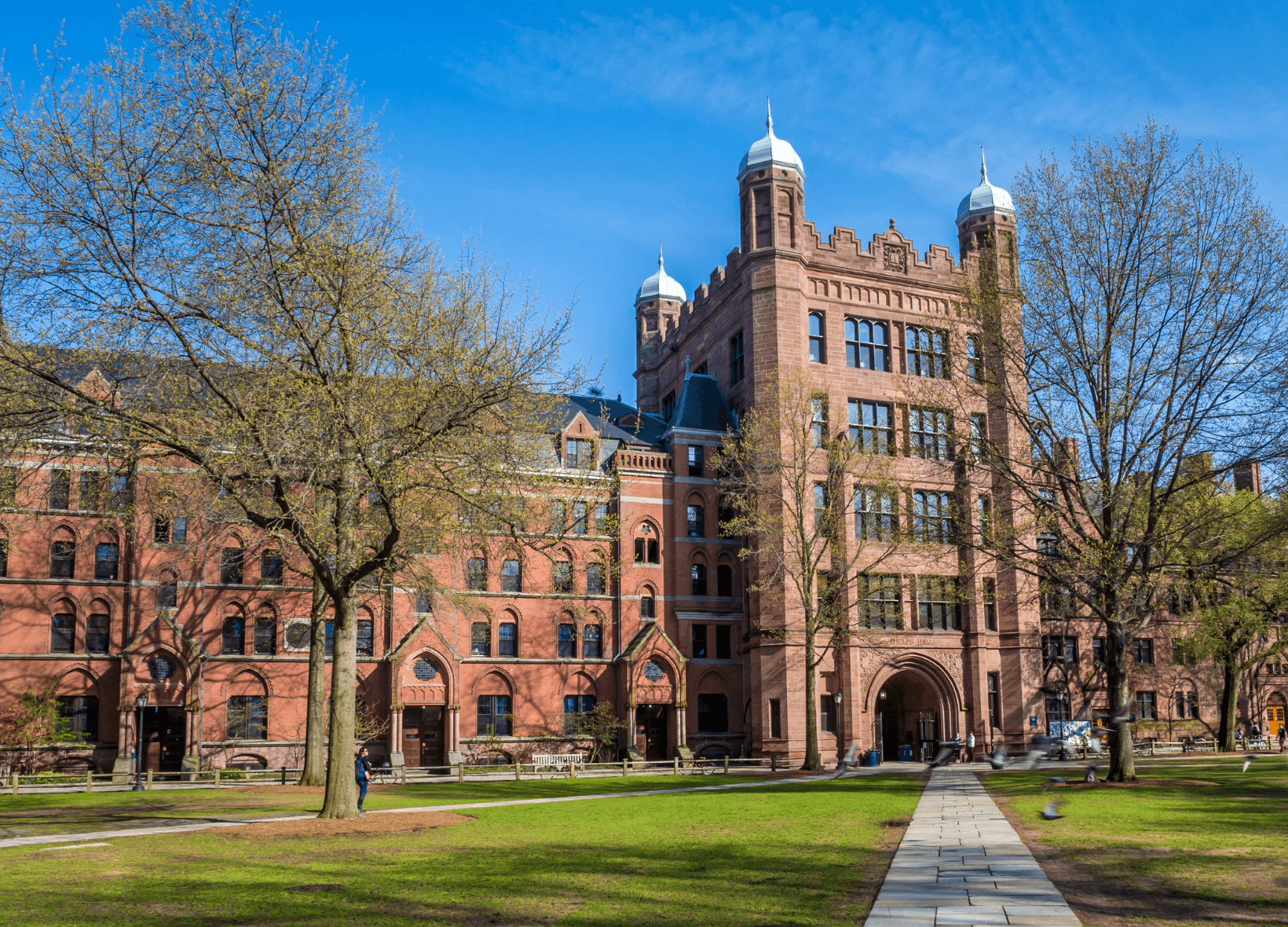Entenda o que são as New Ivies de acordo com a Forbes