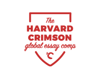 Descubre las ventajas de los currículos internacionales para la aplicación universitaria de tu hijo