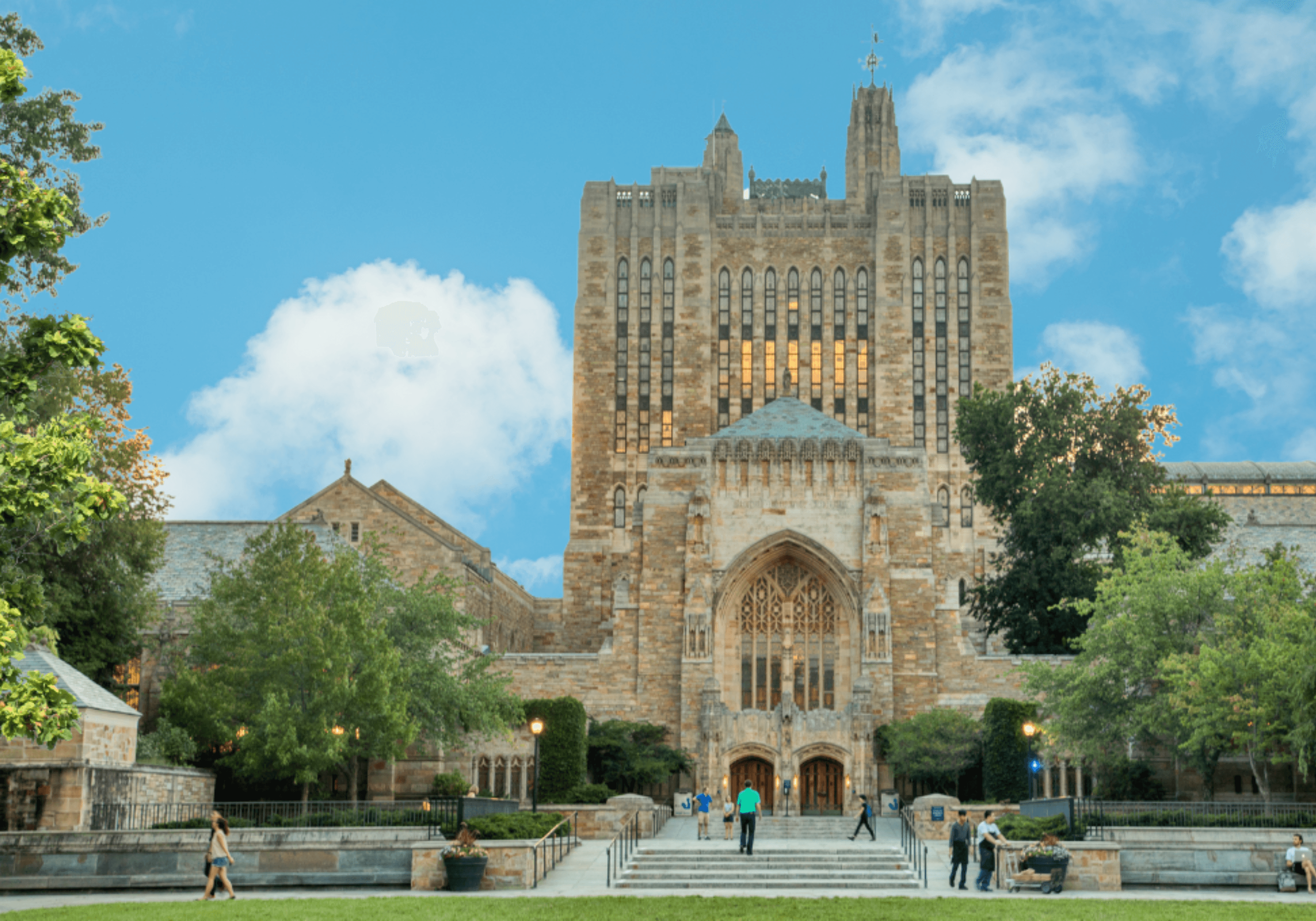 最新2025美國大學招生數據公布, 三趨勢台灣申請生需注意!