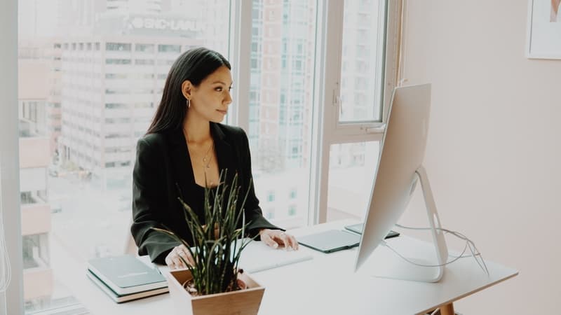 Business is a top degree choice for the future