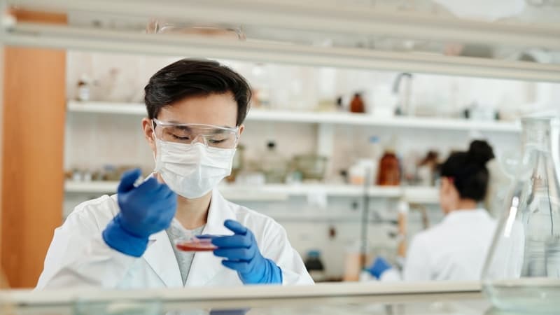 pharmacology a top degree for the future