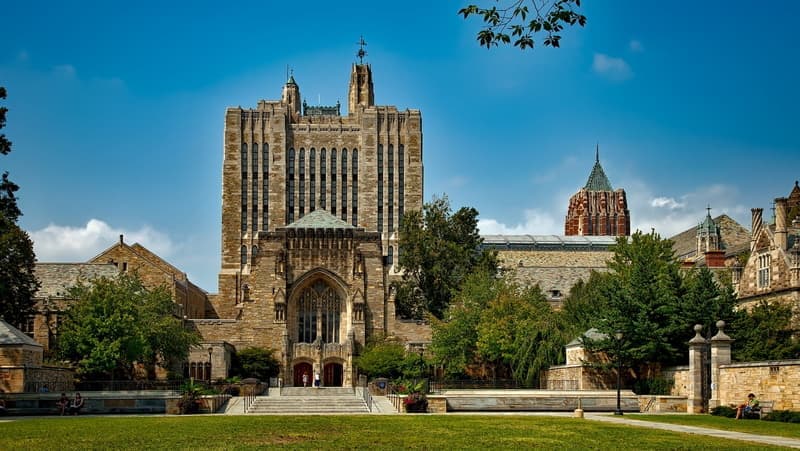 Yale Admits 4.6% of Applicants to the Class of 2029