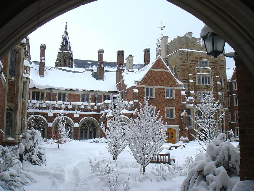 Early Action Acceptance Rates for the Class of 2029